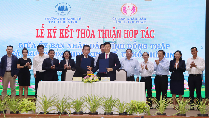 cá cược thể thao hul city